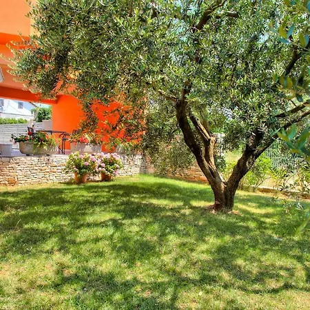 Petra Near Apartment Veruda